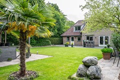 Visarend - 4 - Tollebeek-12.jpg