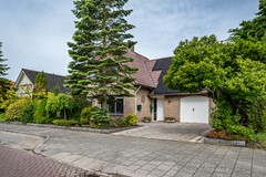 Visarend - 4 - Tollebeek-2.jpg