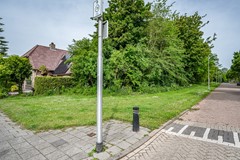 Visarend - 4 - Tollebeek-3.jpg