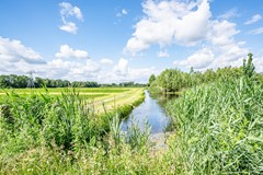 Kade - 18 - Vollenhove-4.jpg