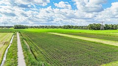 Kade - 18 - Vollenhove-10.jpg