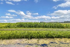 Foto Vollenhove 1.jpg