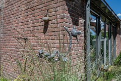 Kerkbuurt - 14 - Blankenham-76.jpg