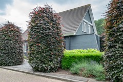 Twente - 11 - Emmeloord.jpg