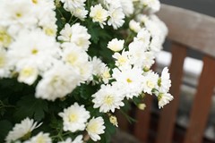 Onder bod: Havikstraat 16, 3882JG Putten