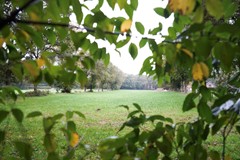 Koop:Domeinenweg 4, 3881 RL Putten - Foto