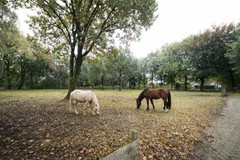 sfeerimpressie 2.jpg