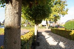 Verkocht onder voorbehoud:Voorthuizerstraat 17, 3881 SB Putten - Foto