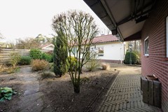tuin 2.jpg