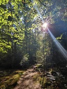 WhatsApp Image 2026-03-31 at 11.02.52.jpeg