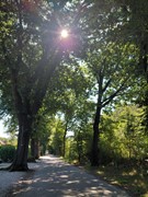 WhatsApp Image 2026-03-31 at 11.02.53 (1).jpeg