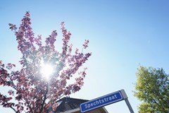 Verkocht: Spechtstraat 39, 3882JL Putten