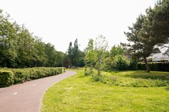 75.jpg