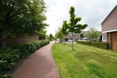 57.jpg