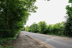 56.jpg