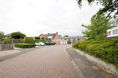 54.jpg