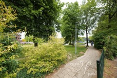 59.jpg