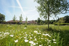 Te koop: Hooge Riet 60, 3851JD Ermelo