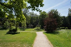 80.jpg