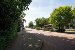 83.jpg