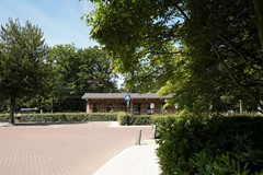 85.jpg
