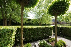 Verkocht onder voorbehoud:Claasgoed 18, 3882 KC Putten - Foto