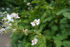 53.jpg