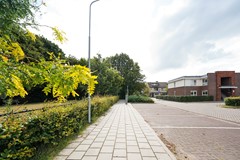 64.jpg
