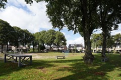 59.jpg