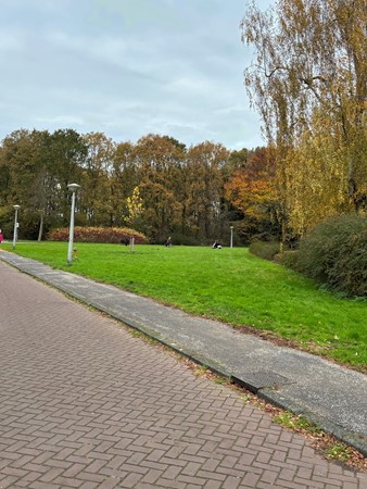 Medium property photo - Bakhuizen van den Brinkhof 31, 1065 BA Amsterdam