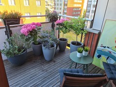 Nieuw in verhuur: Kamerlingh Onnesstraat 67, 1181 WB Amstelveen