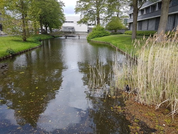 Medium property photo - Kamerlingh Onnesstraat 67, 1181 WB Amstelveen