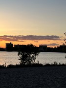 IMG_4648.jpeg