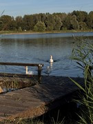 IMG_3742.jpeg