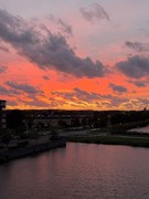 IMG_4869.jpeg