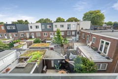 041-merw.jpg