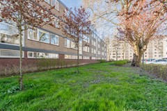 20250402, Drijfhoutstraat 7, Rotterdam, Mansion Makelaardij (36 of 39).jpg