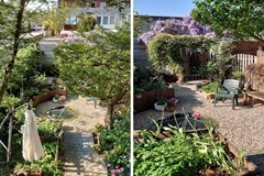 20250424, Roer 343, Rotterdam, Mansion Makelaardij (1 of 1).jpg