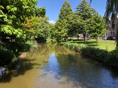 46-Van der Sluystraat 518-Rotterdam.jpeg