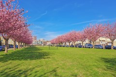 20251002, Tielerwaard 133, Rotterdam, Mansion Makelaardij  (63 of 64).jpg