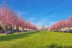 20251002, Tielerwaard 133, Rotterdam, Mansion Makelaardij  (64 of 64).jpg