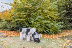 20251103, Grieksestraat 74 A en B Rotterdam, Mansion Makelaardij (50 of 52).jpg