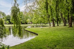 20250507, Sikkelstraat 32, Rotterdam, Mansion Makelaardij (40 of 40).jpg