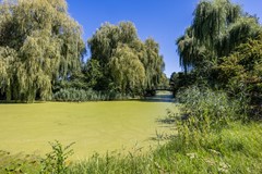 20260813, Patrijs 11 Barendrecht, Mansion Makelaardij (47 of 47).jpg