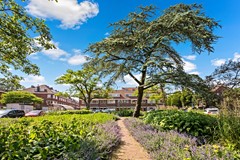 Rented: Van Halewijnlaan 4A, 2274 TR Voorburg