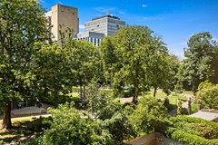 New for rent: Jan van Nassaustraat 16D, 2596 BT The Hague