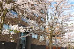 Nieuw in verkoop:Sieradenweg 77, 1336 TB Almere - Foto