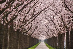 a3terracottastraat 02.jpg