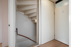 Z08_4081.jpg