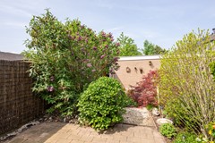 Z08_3973.jpg